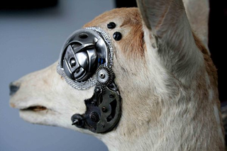 Illustration for article titled Steampunk Taxidermy Takes Steampunk to Awkward Places